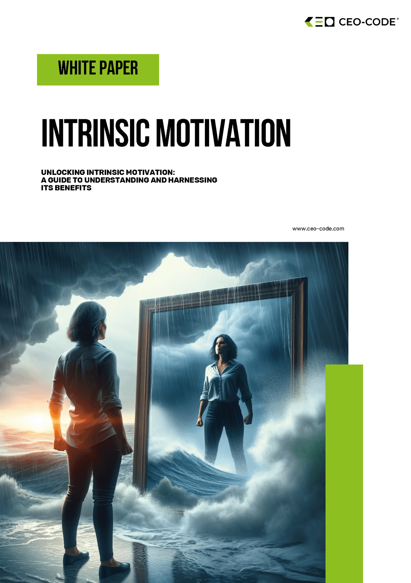 White paper cover on intrinsic motivation featuring a person facing a framed reflection in stormy seas.